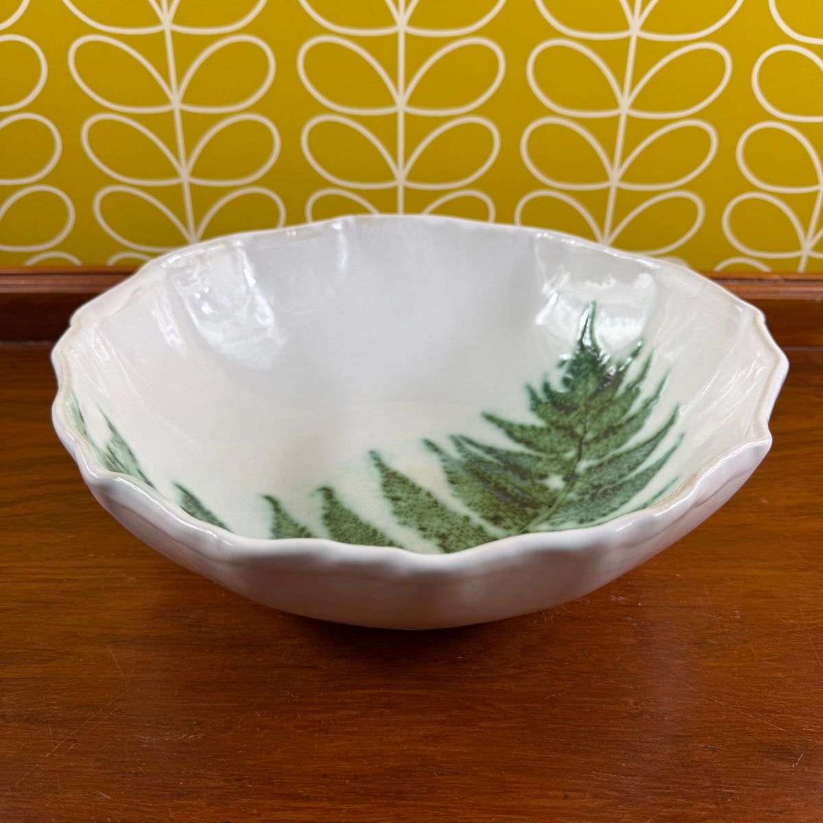 Japanese Holly Fern Bowl – Deep